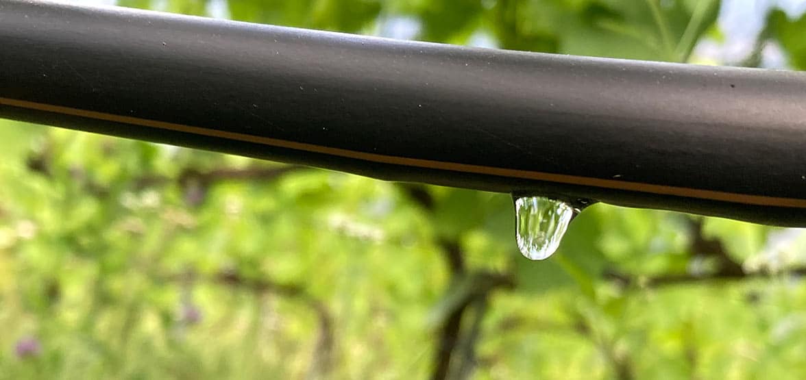 Image goutte-à-goutte